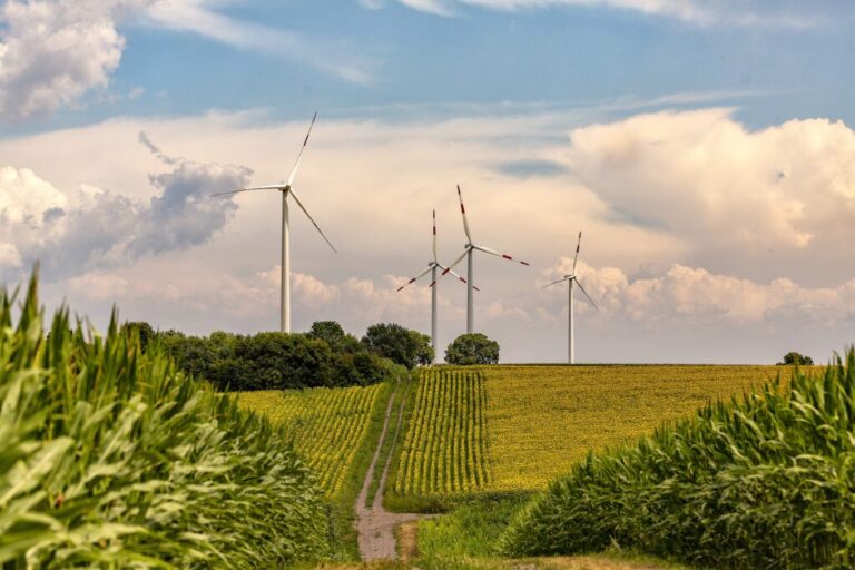 Windkompromiss im Landtag beschlossen – Gemeinsam für Klimaneutralität und Energiesicherheit arbeiten